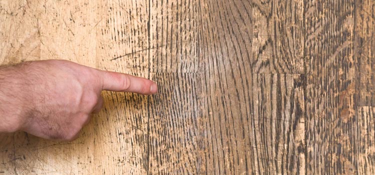 Wood Door Scratch Repair in University of California Davis